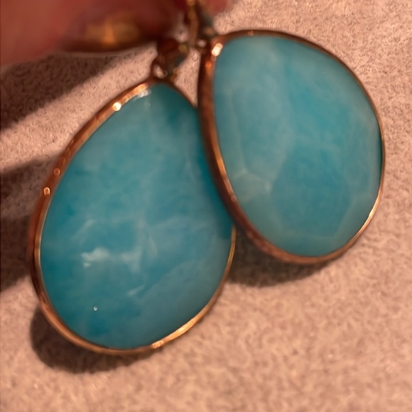Fossil Aqua Chalcedony Gemstone Earrings - Picture 4 of 7